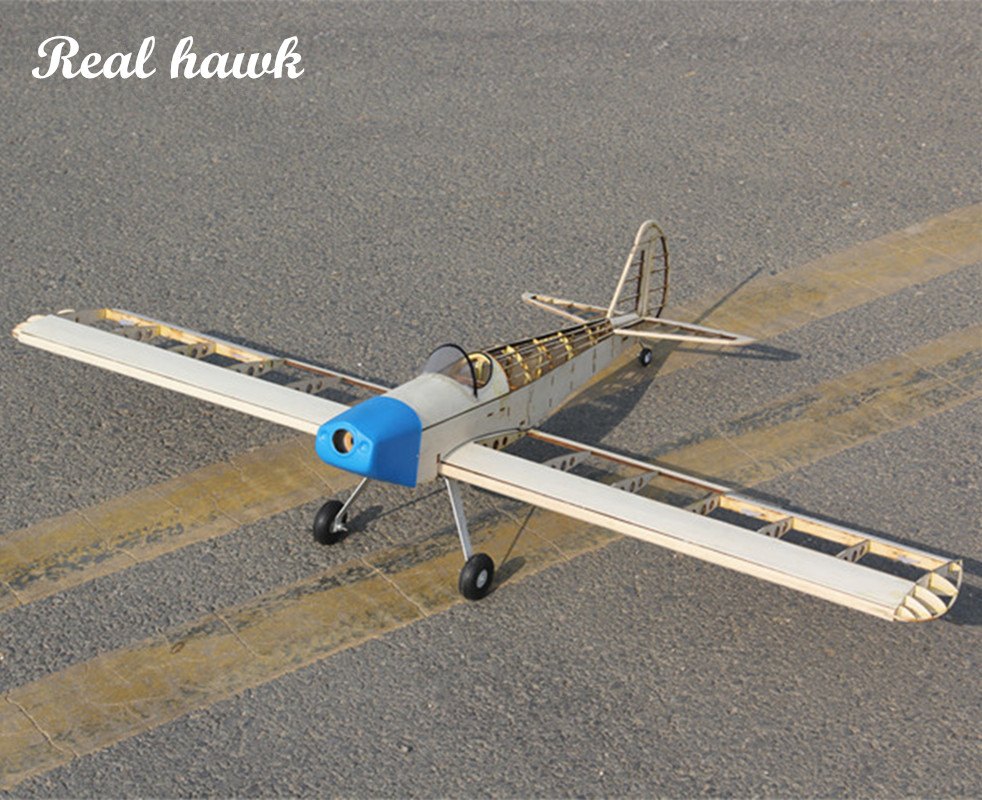RC AirPlanes Laser Cut Balsa W - Rc Hobby Car avis et prix
