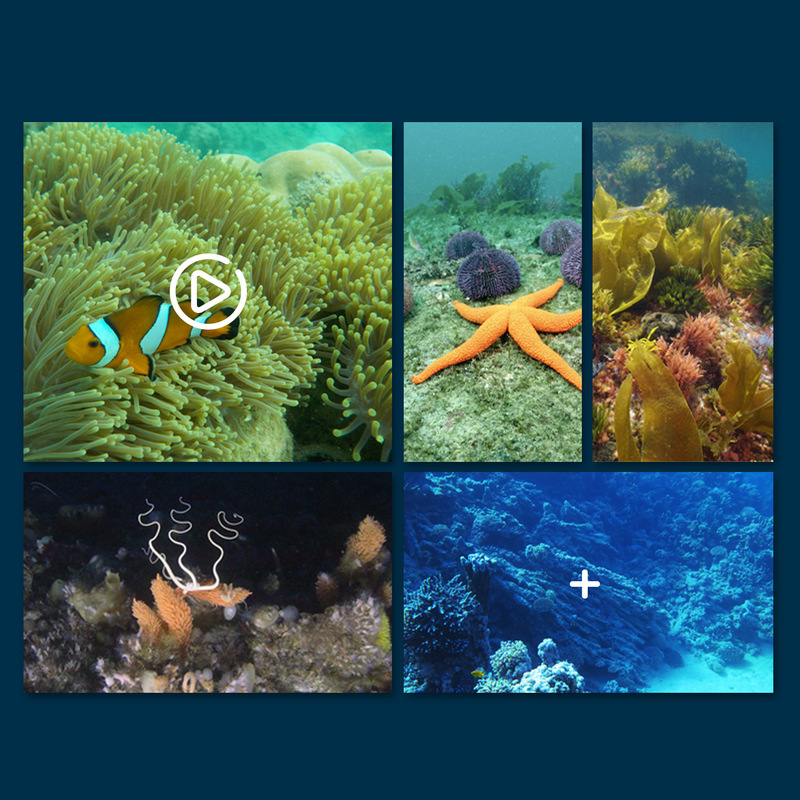 Mini Wifi Rc Underwater Camera - Rc Hobby Photos avis et prix